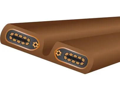 Wireworld Electra 10 Power 3.webp